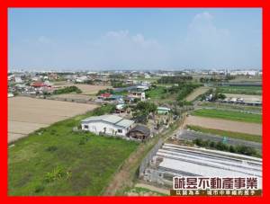 誠昱/七股後港室內植栽首選農地
